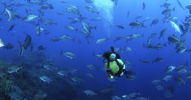 Formigas e Dollabarat, Azores_Credit ©Nuno Sa-VisitAzores