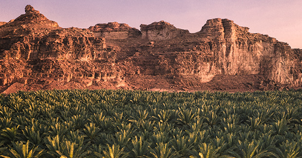 AlUla copy 1