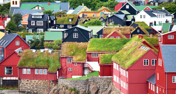 Scandi6